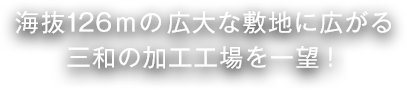 海抜26ｍの広大な敷地に広がる三和の加工工場を一望！